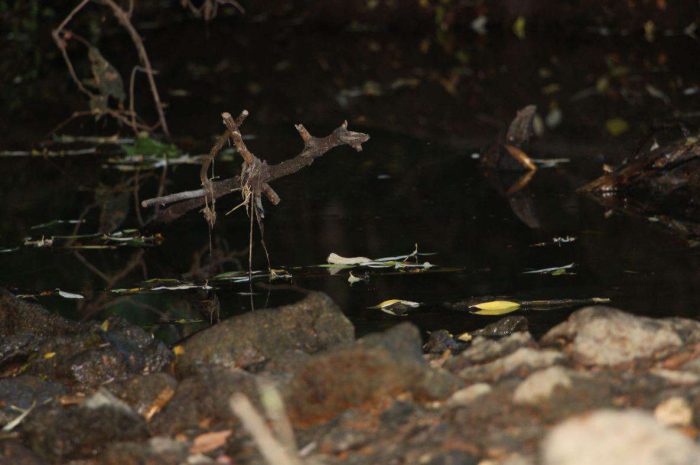 Vigilance sécheresse ► Baisse des cours d’eau et prévisions inquiétantes