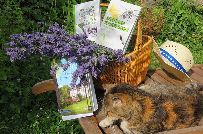 Idées de lecture ► Retour à la nature, fleurs sauvages, abeilles, promenades : sur les chemins du bien-être