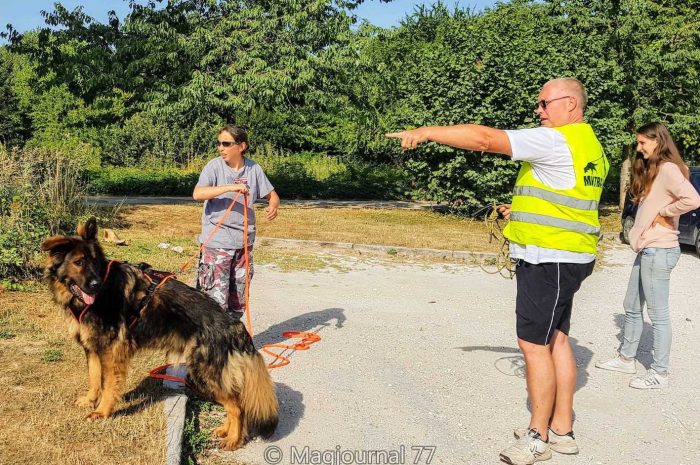 Meaux ► Mantrailing : Arnaud Devise aide les chiens à mieux sentir [Vidéo] 