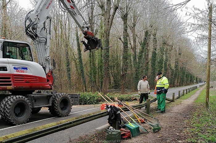 Seine-et-Marne ► Tempête Ciara : la ligne P interrompue et des routes coupées à cause des chutes d’arbres