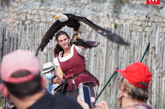 Provins ► [Vidéo] L’équipe de Vol Libre propose son spectacle jusqu’en novembre : Les Aigles des remparts