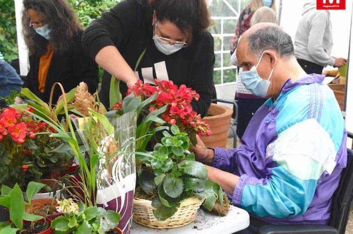 Dampmart ► [Vidéo] A l’Ehpad La Détente : les résidents ont profité d’un atelier jardinage et art-thérapie