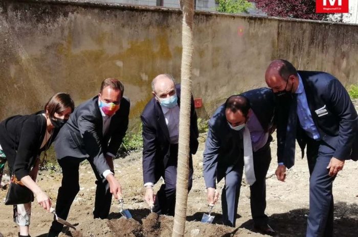 Meaux ► [Vidéo] Résidence Les Cordeliers : le premier arbre du jardin a été planté