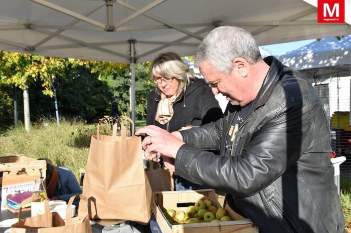 Mitry-Mory ► [Vidéo] La ville a fêté la pomme pour la première fois