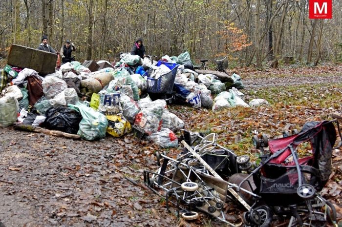Noisiel ► [Vidéo] L’association OSE ramasse les déchets du camp rom dans les bois