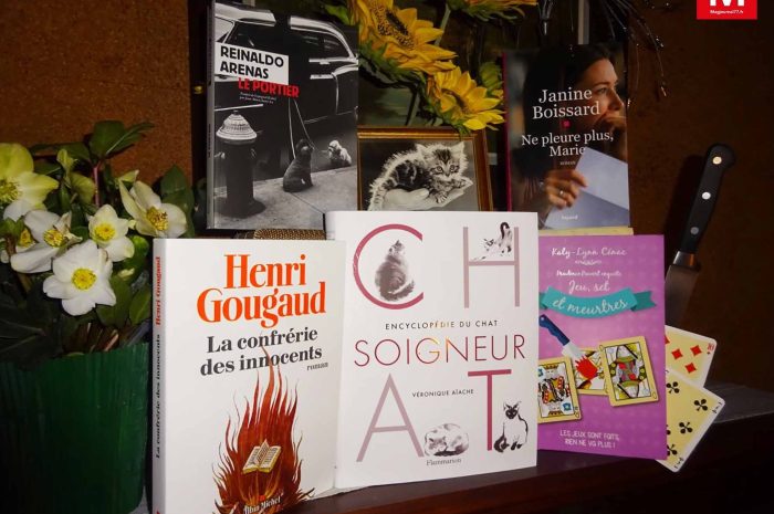 Idées de lecture ► Le chat soigneur procure la douceur voulue