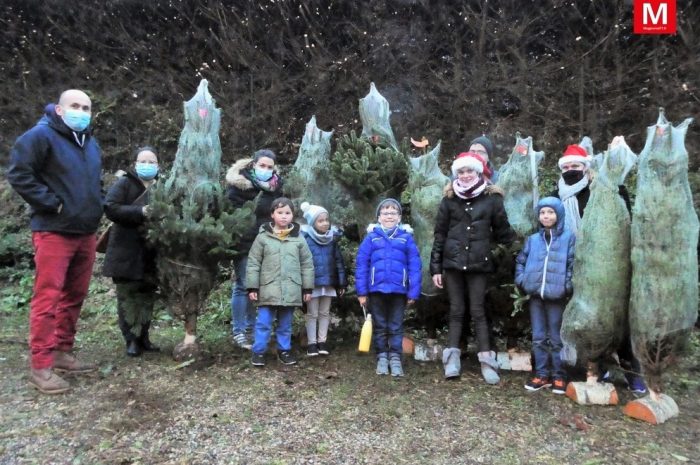 Gouvernes ► [Vidéo] L’Amicale des enfants a vendu des sapins pour financer ses activités