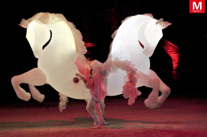 Meaux ► [Vidéo] En pleine nuit, un spectacle de lumière était proposé au pied de la cathédrale