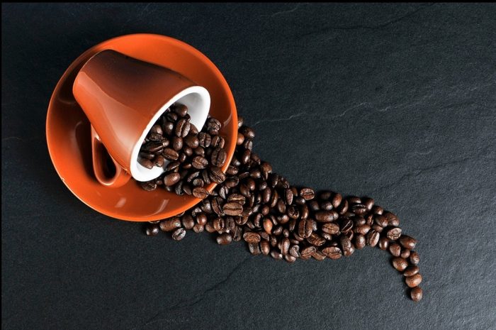 Santé ► La caféine : un effet protecteur contre les maladies cardiovasculaires