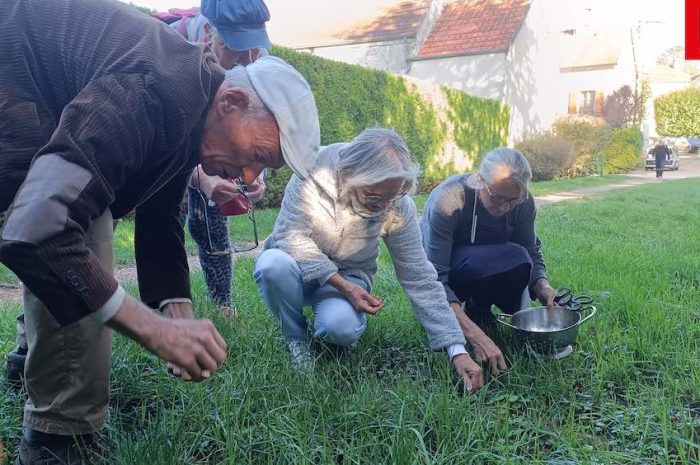 Marne et Gondoire ► [Vidéo] Proche de la nature : la cuisinière Marie Enselme enseigne les saveurs des herbes