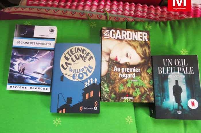 Idées de lecture ► Du suspense pour quatre livres étonnants