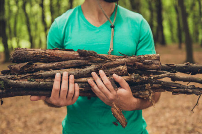 Chauffage ► Peut-on couper ou ramasser du bois dans la nature ?