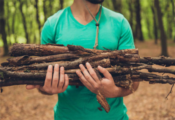 Chauffage : Peut-on couper ou ramasser du bois dans la nature ?