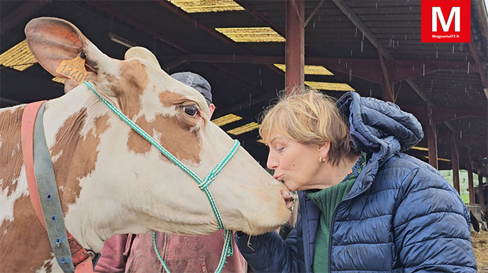 Saint-Thibault-des-Vignes ► [Vidéo] La ferme a fêté ses 50 ans, inventé un nouveau fromage et présentera une de ses vaches au concours à la foire de Coulommiers