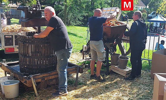 Crégy-lès-Meaux ► [Vidéo] A la fête de la pomme, c’était un record d’affluence et une tonne de fruits vendus