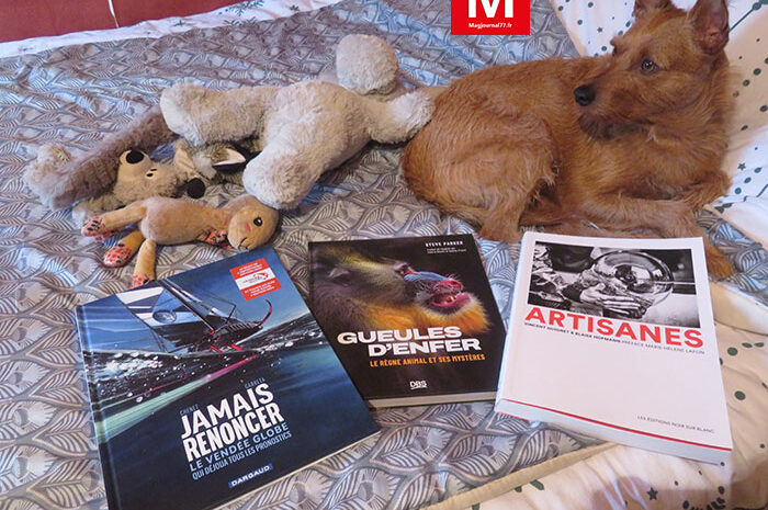 Idées de lecture ► Artisanes, animaux vous mènent en bateau