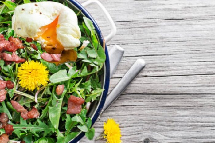 La recette du week-end ► La salade de pissenlit, herbe sauvage, assaisonne la vie avec son œuf mollet et ses lardons