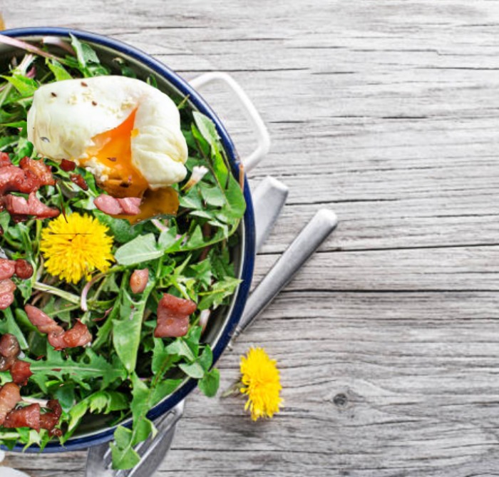 La recette du week-end : La salade de pissenlit, herbe sauvage, assaisonne la vie avec son œuf mollet et ses lardons