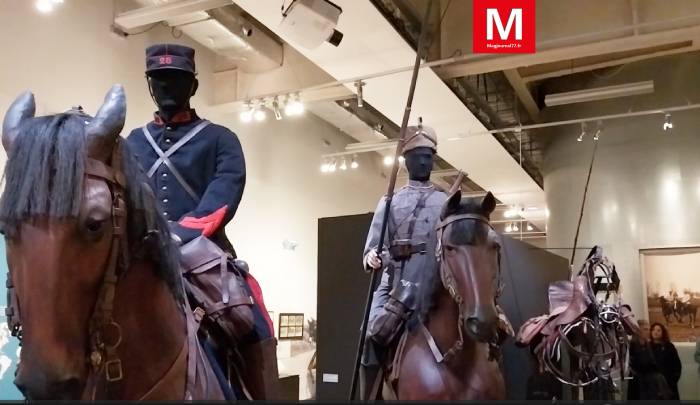 Meaux ► [vidéo] Musée de la Grande Guerre : l’exposition « des chevaux et des hommes » retrace le rôle majeur des chevaux pendant la guerre 14 – 18