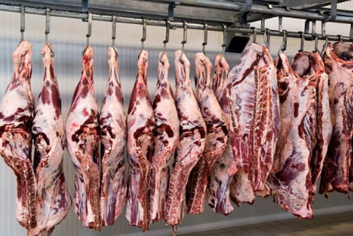 Meaux : l'abattoir reprend partiellement son activité